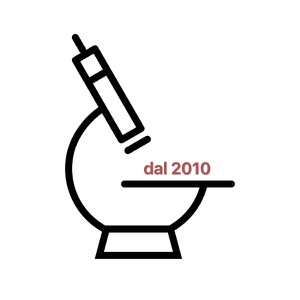 dal 2010